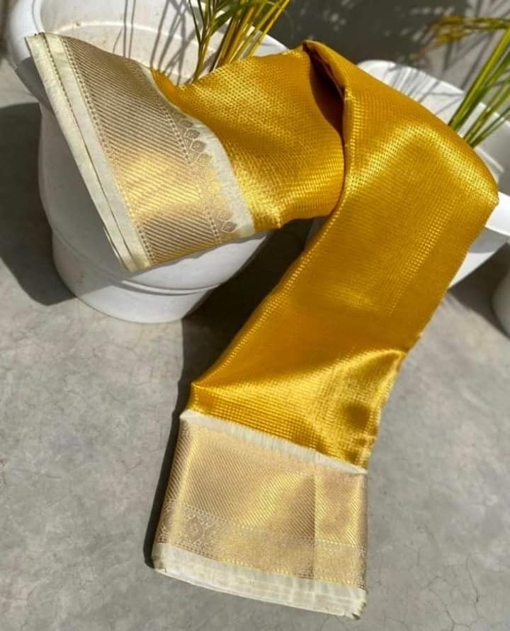 Banarasi TISSUE SILK saree