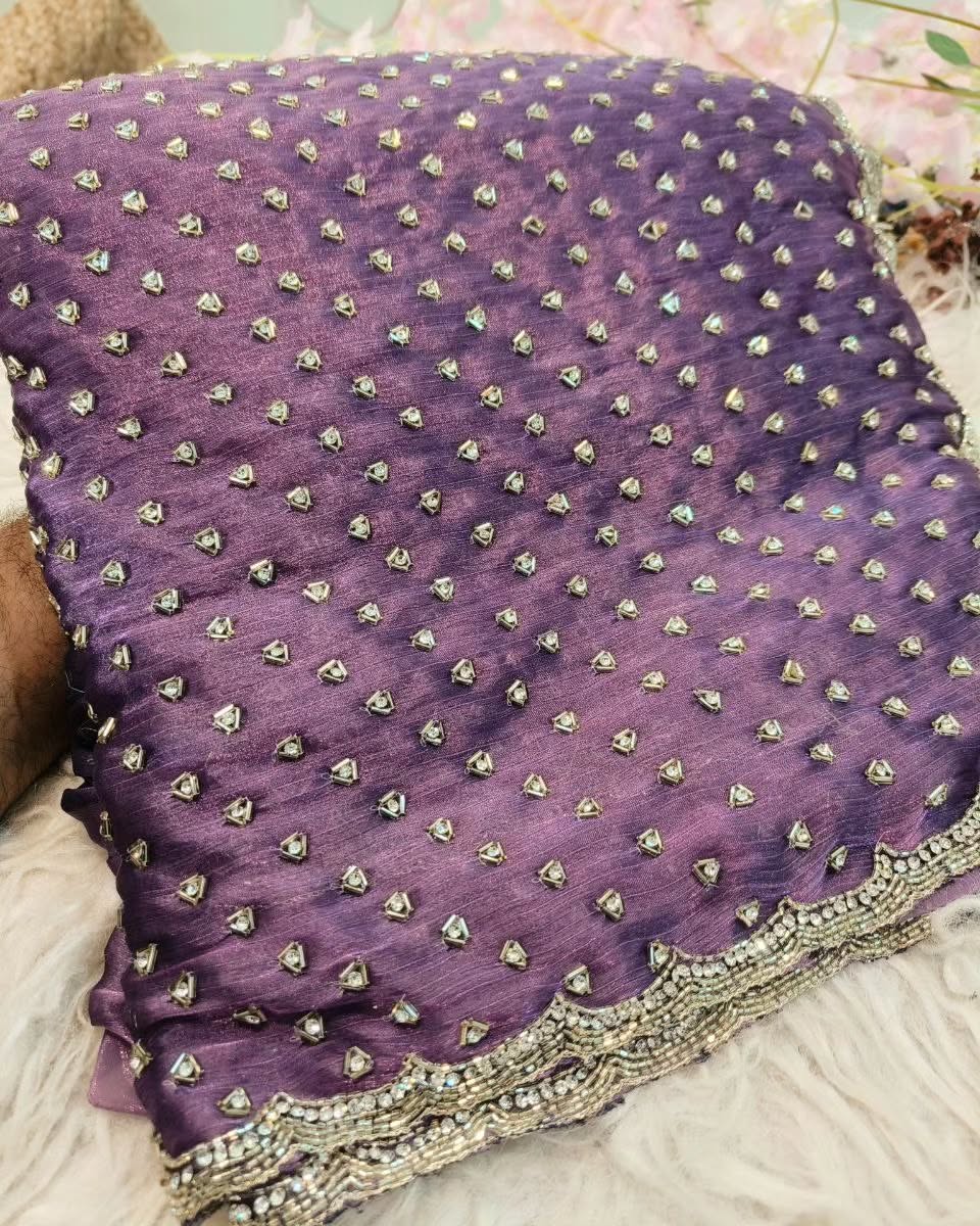 Fendi saree in diamond stone handwork