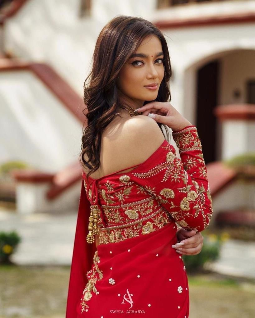 HEAVY GEORGETTE FABRIC ON BEAUTIFUL EMBRODIERY ZARI