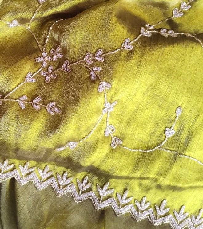 Jimmy choo designer saree with diamond stone handwork