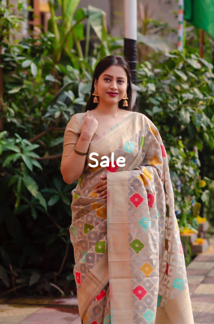 organza woven saree with zari
