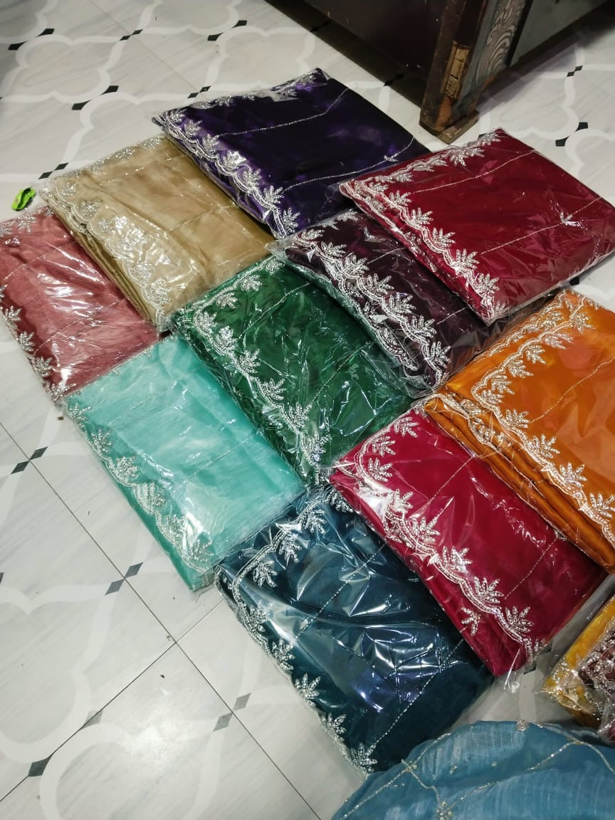 Jimmy Choo handwork saree