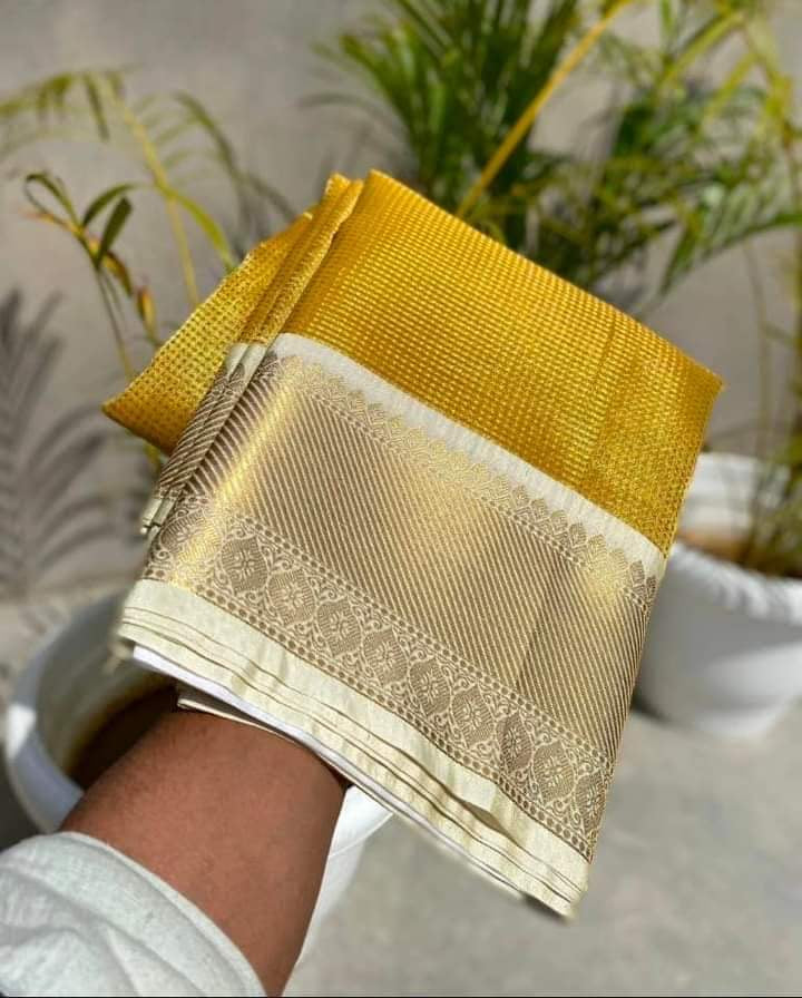 Banarasi TISSUE SILK saree