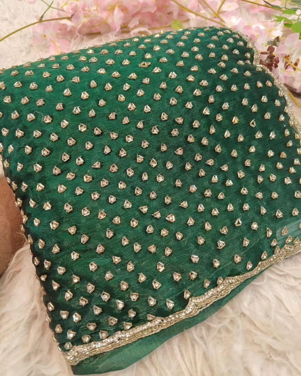 Fendi saree in diamond stone handwork