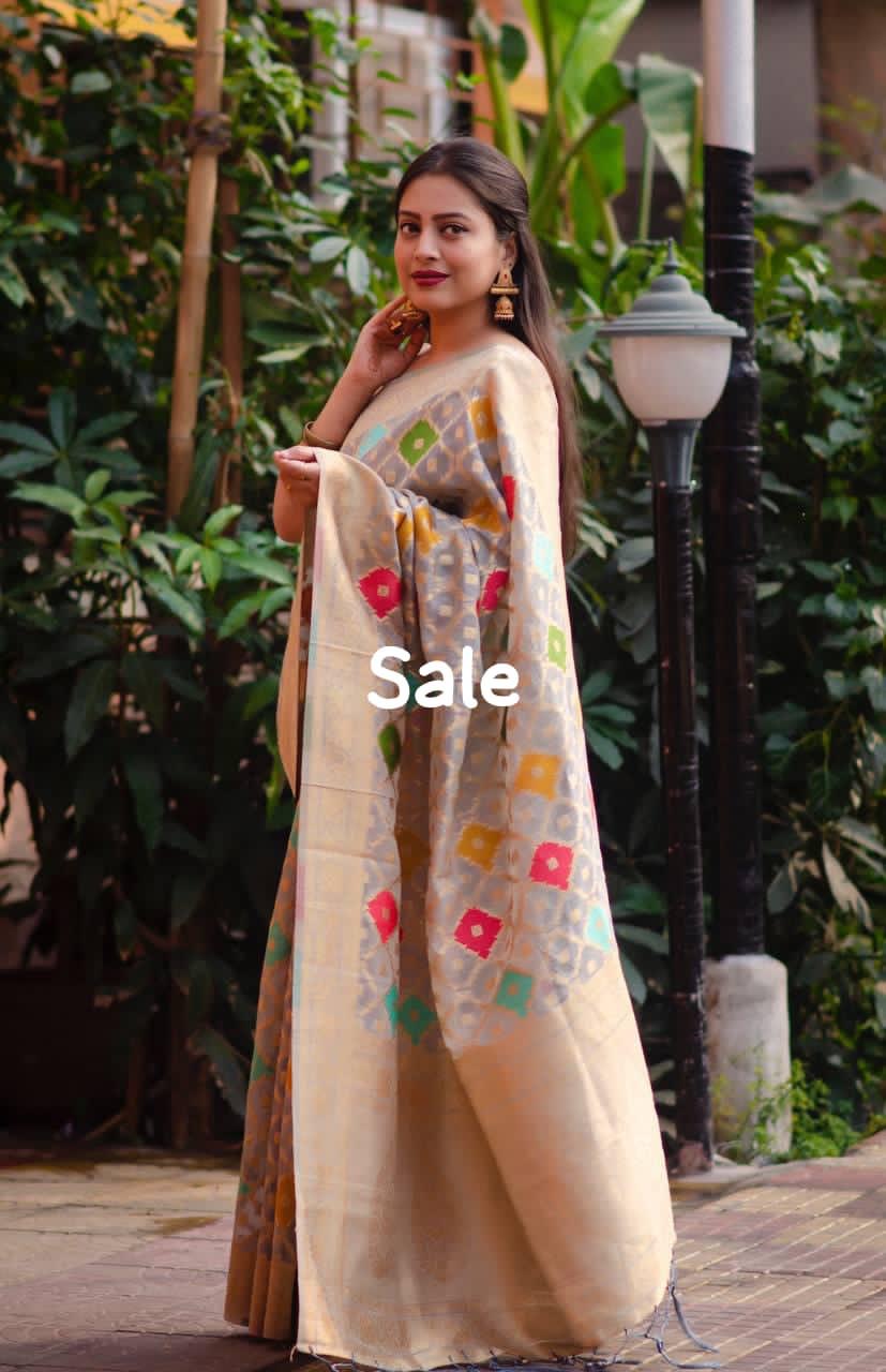 organza woven saree with zari