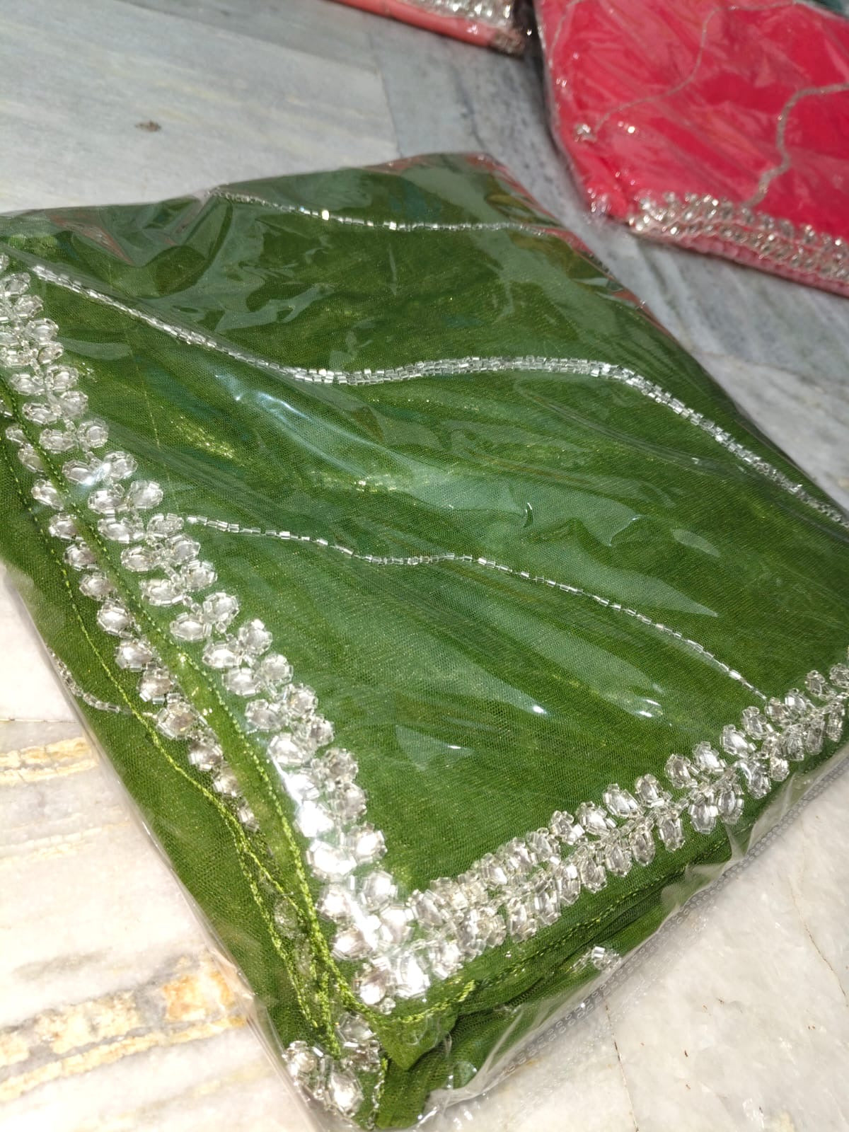 Payal design net handwork saree