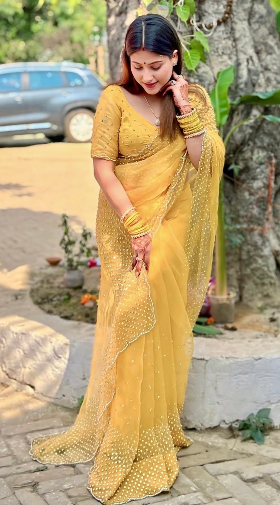 Fendi saree in diamond stone handwork