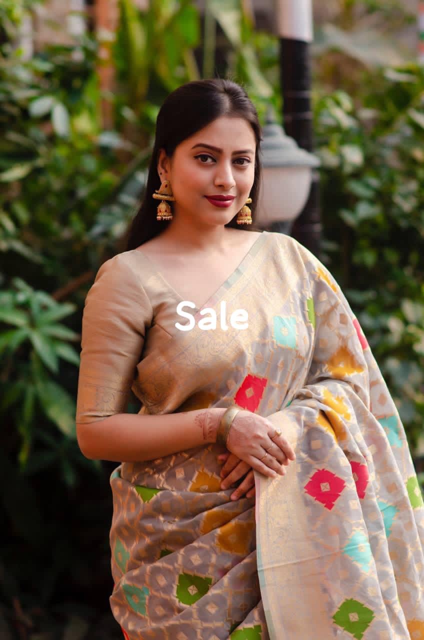 organza woven saree with zari