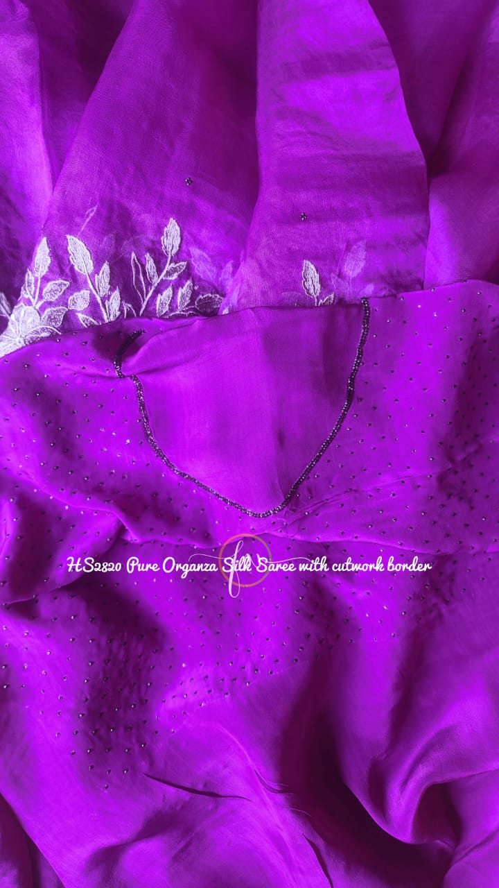 Banarasi organza silk heavy chikankari