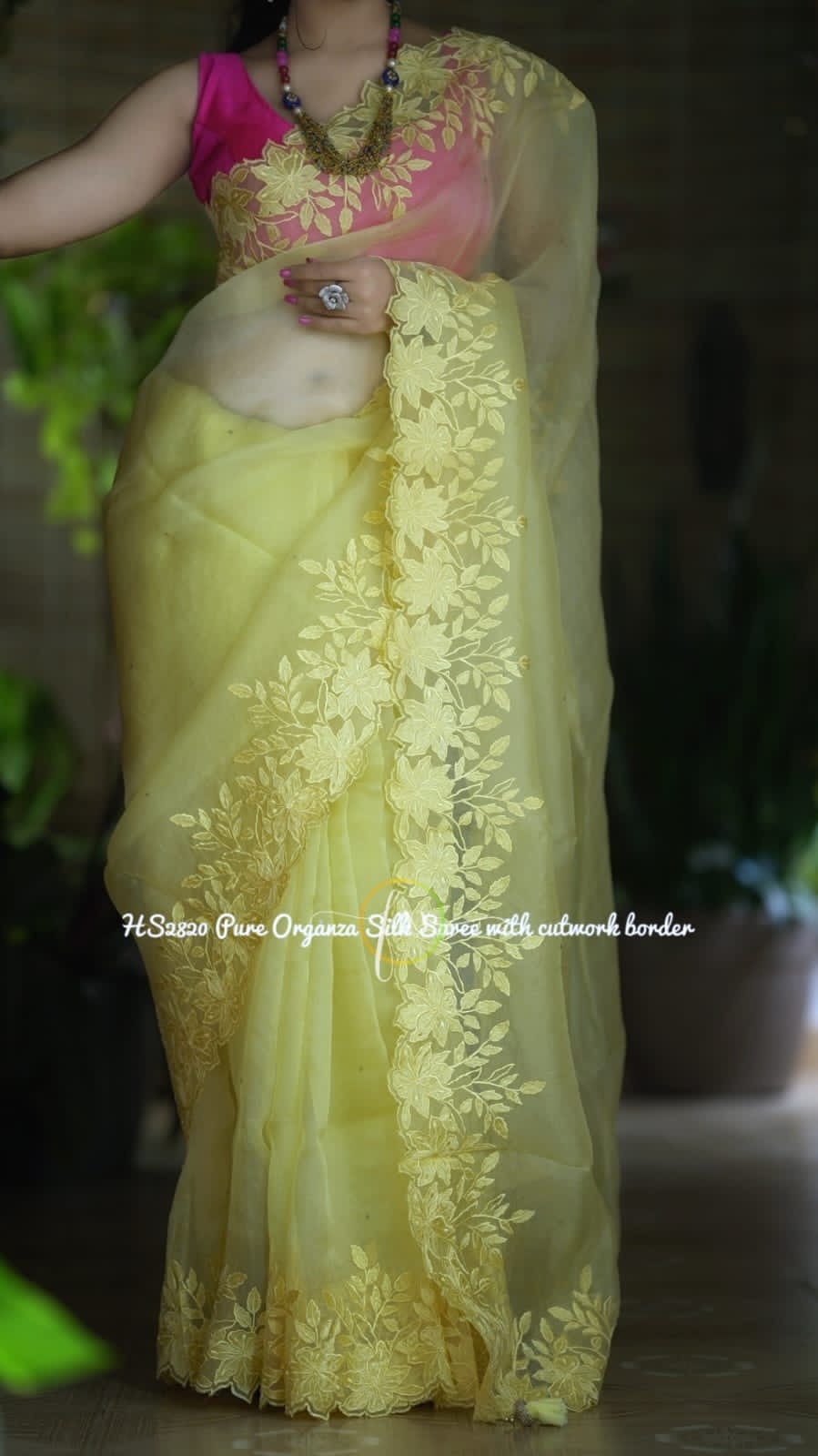 Banarasi organza silk heavy chikankari