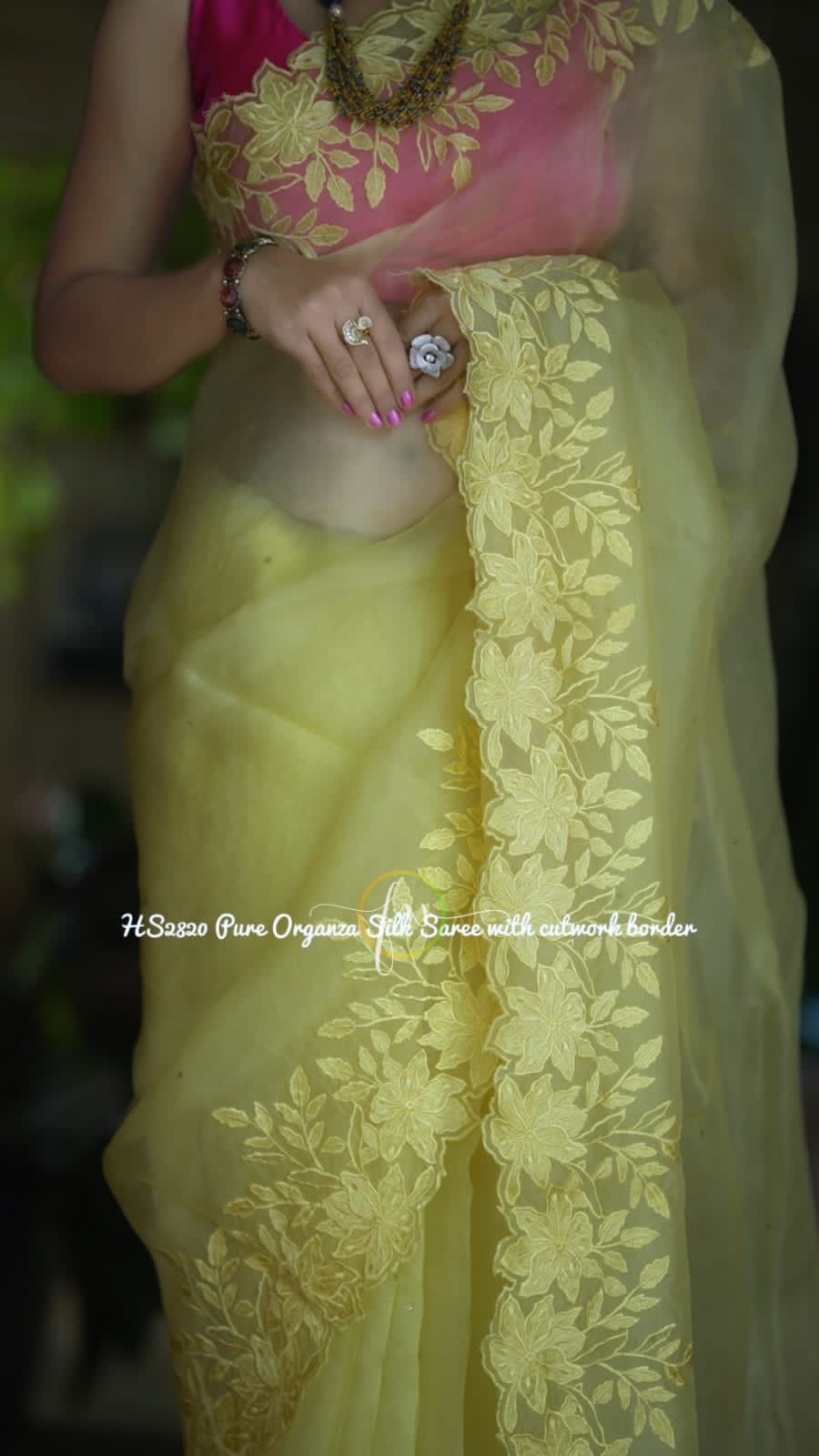 Banarasi organza silk heavy chikankari