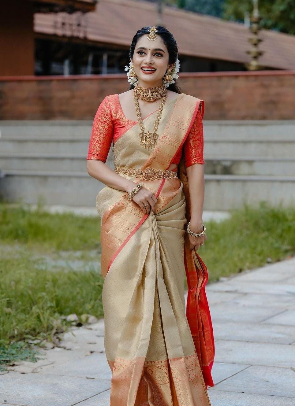 Banarasi Tissue saree