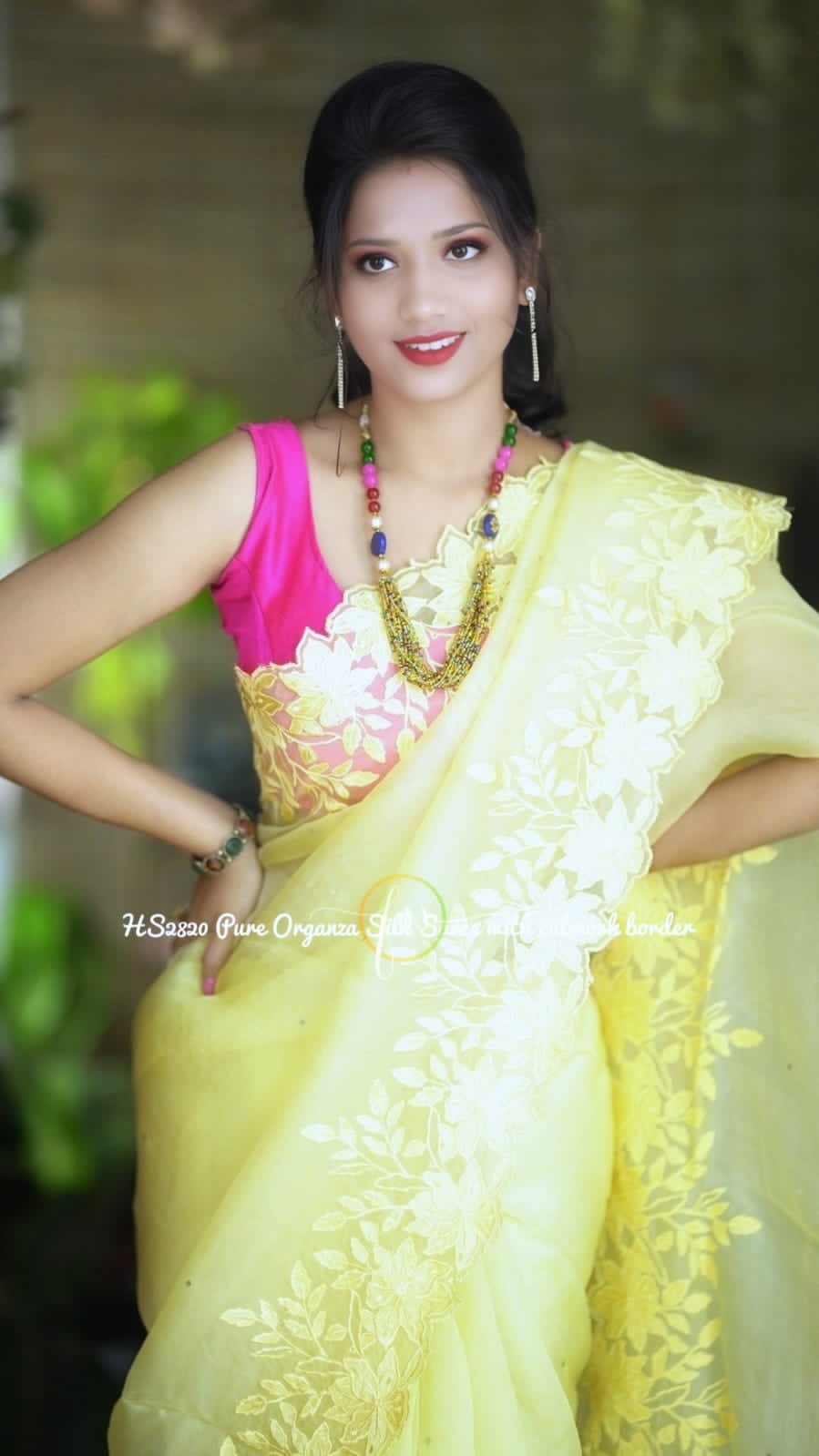 Banarasi organza silk heavy chikankari