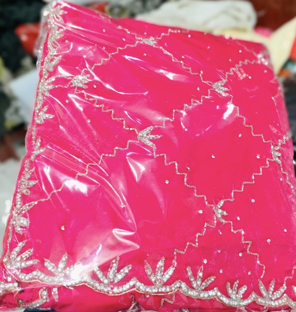 Fendi saree with diamond stone Jaal work Diya design 2 Saree