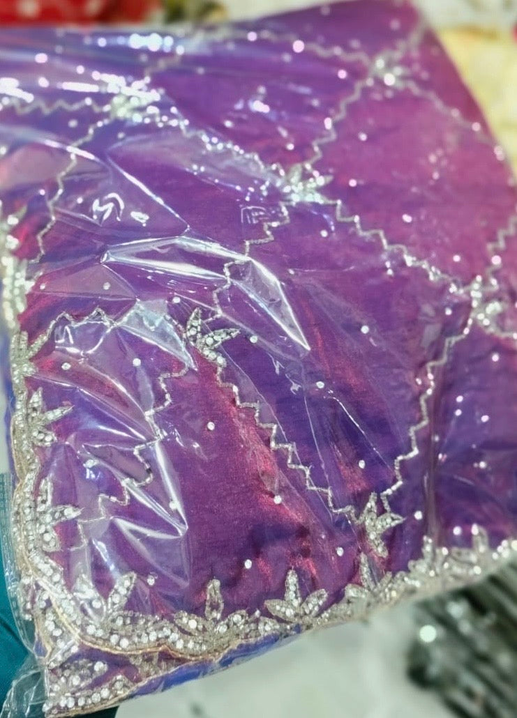 Fendi saree with diamond stone Jaal work Diya design 2 Saree