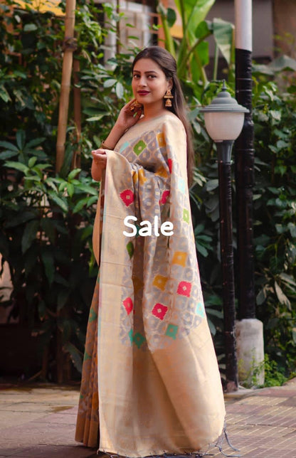 organza woven saree with zari