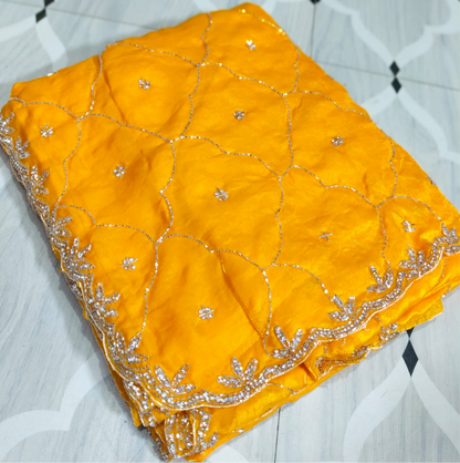 Fendi saree with diamond stone Jaal work Diya design Saree