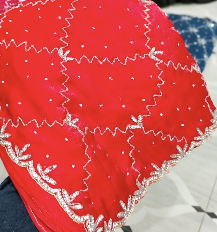 Fendi saree with diamond stone Jaal work Diya design 2 Saree