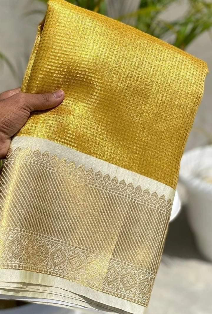 Banarasi TISSUE SILK saree