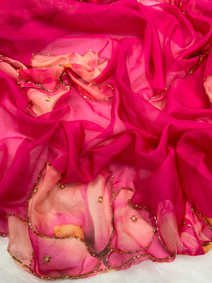 Floral Organza with katdana handwork saree