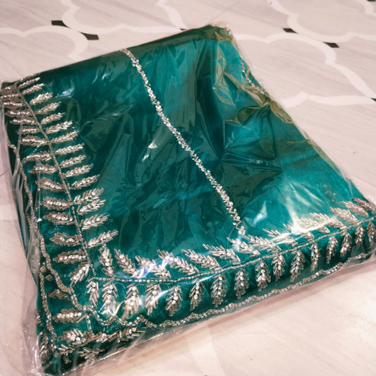 Jimmy Choo saree with handwork