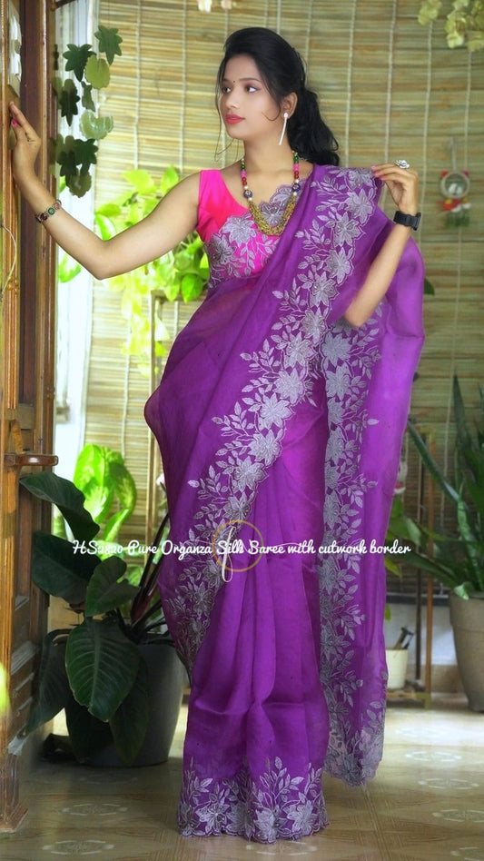 Banarasi organza silk heavy chikankari