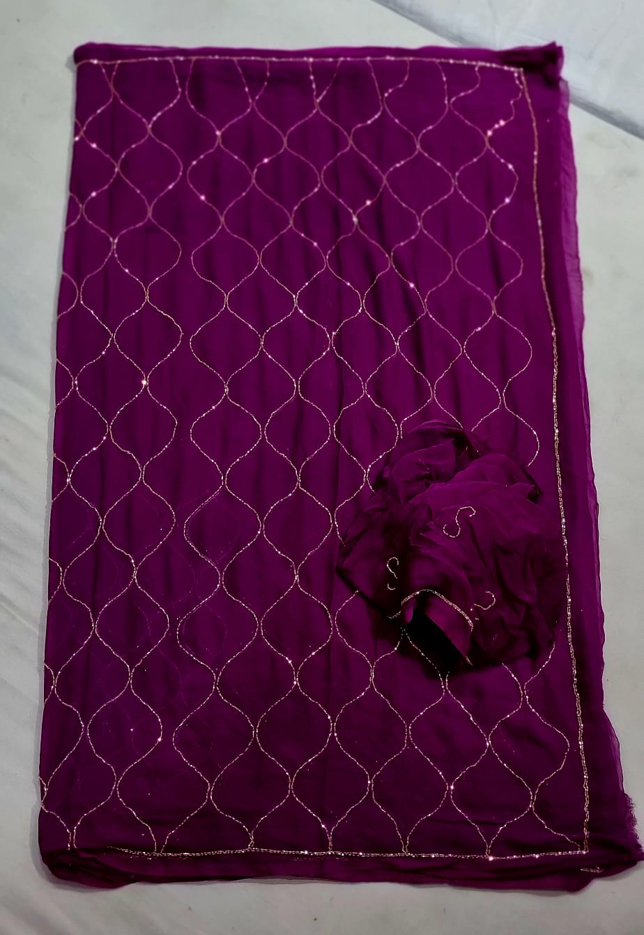 Chiffon saree with jaal handwork