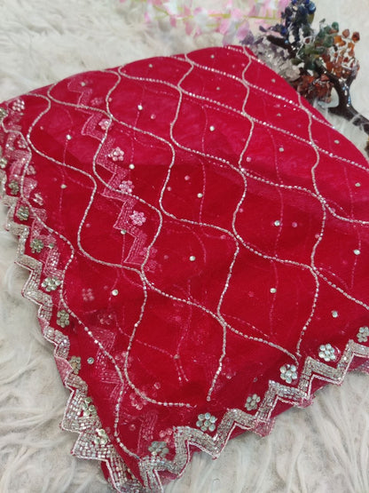 Designer net handwork saree