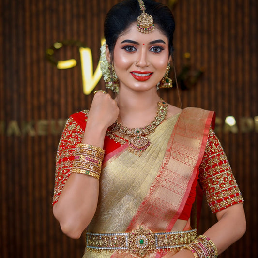 Banarasi Tissue saree
